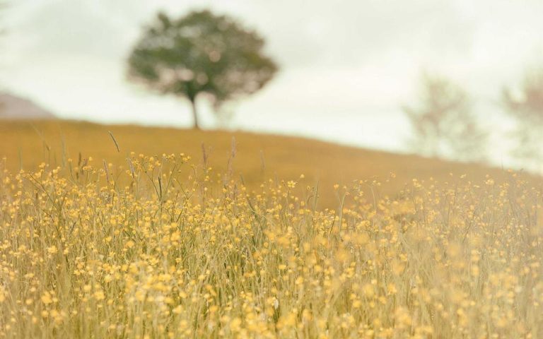 Soulslike-Spiele meistern: Warum Geduld die stärkste Waffe ist